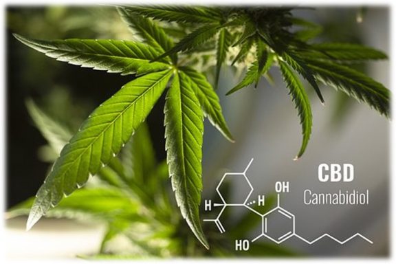 101 Gründe für CBD